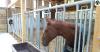 libre service chevaux jourdain -agridiscount