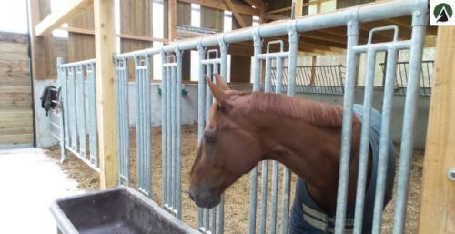 libre service chevaux jourdain -agridiscount
